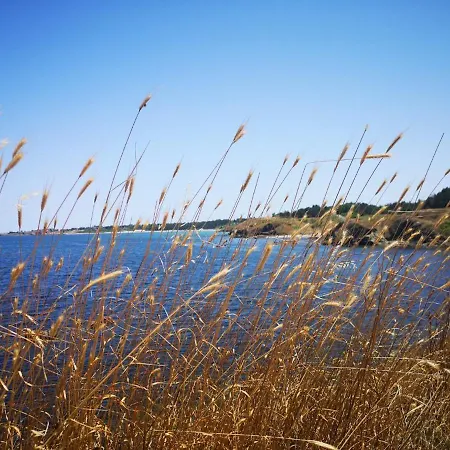 Bavaria Pensión Sinemoretz